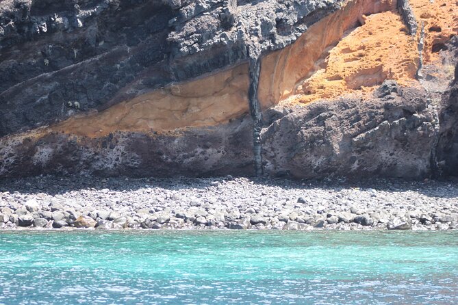 Dolphin and Whale Sailing Tour in Los Gigantes - Why a 10-person sailboat changes the experience