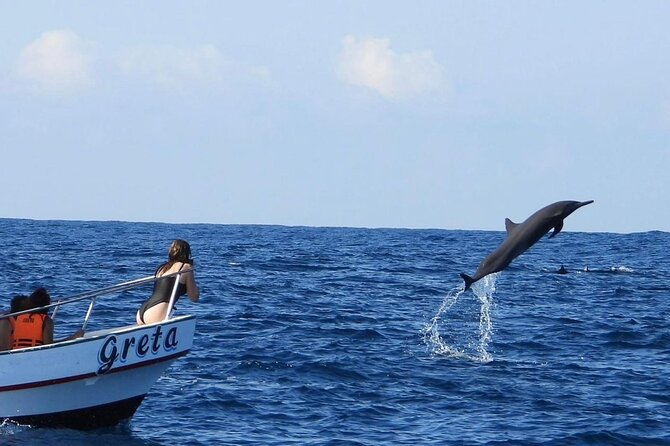 Dolphin and Whale Watching Boat Trip in Puerto Escondido - Key points at a glance