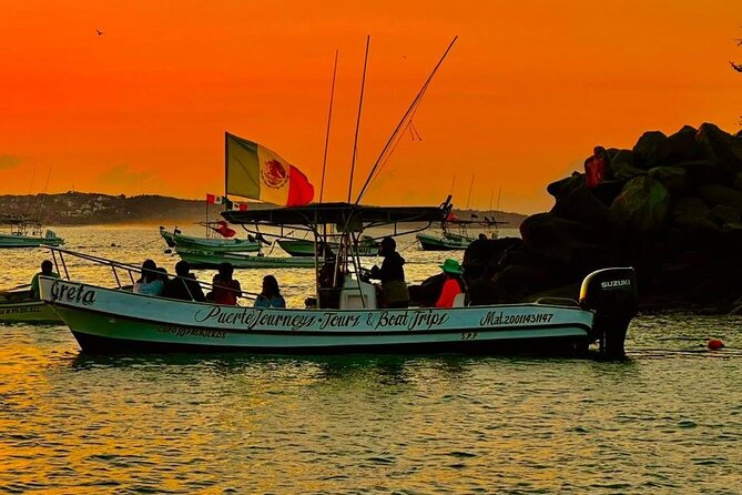 Dolphin and Whale Watching Boat Trip in Puerto Escondido - Three and a half hours in search of marine life