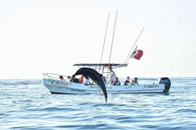 Dolphin and Whale Watching Boat Trip in Puerto Escondido - Weather, cancellations, and planning the booking
