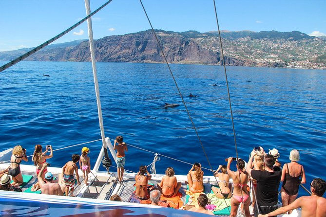 Dolphin and Whale Watching Catamaran Cruise from Funchal - Leaving Funchal Marina for the open Atlantic