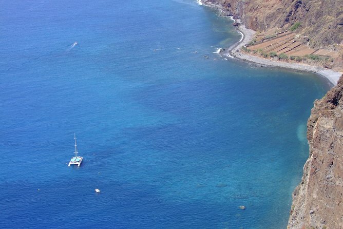 Dolphin and Whale Watching Catamaran Cruise from Funchal - Who will enjoy this Madeira boat trip most?