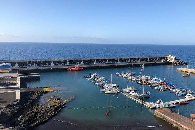 Dolphin and Whale Watching in La Restinga - Who will enjoy this outing most?