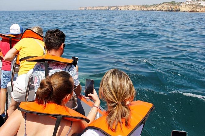 Dolphin and Whale Watching in Lagos - Value, group size, and what you are paying for
