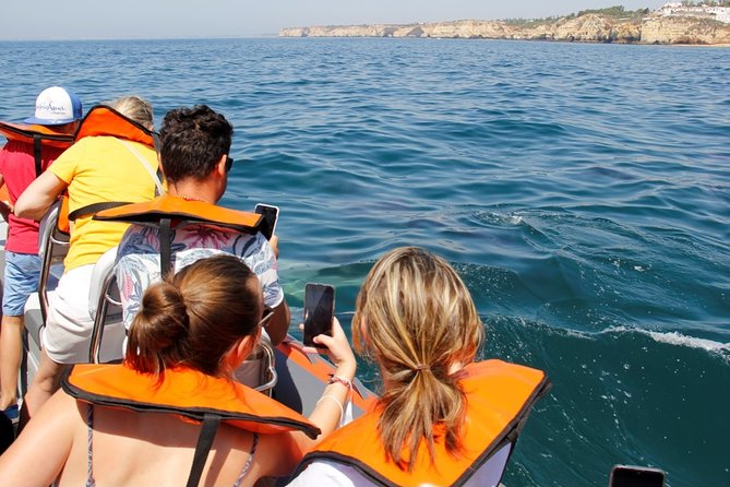 Dolphin and Whale Watching in Lagos - Who will enjoy this trip most?