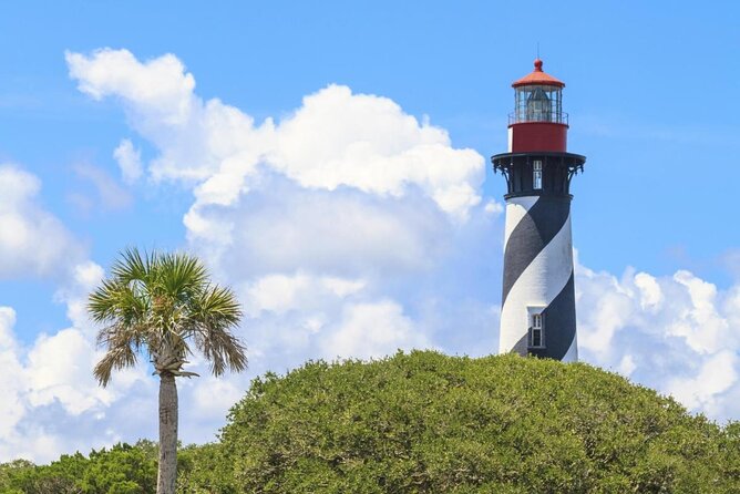 Dolphin and Wildlife Adventure of St. Augustine - Key points to know before you go