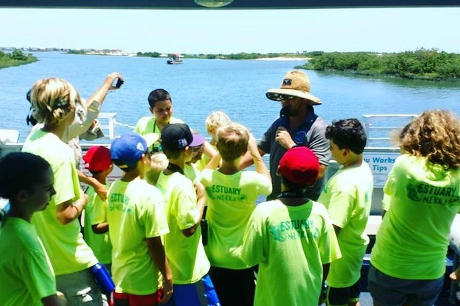 Dolphin and Wildlife Adventure of St. Augustine - Why the wildlife search works best with patience