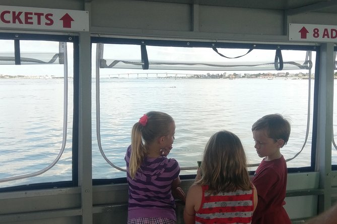 Dolphin and Wildlife Adventure of St. Augustine - Drinks, shade, and family comfort