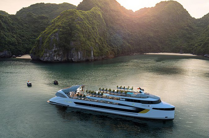 Dolphin Cruise – Experience Halong Bay in Timeless Luxury - Luon Cave offers the day’s most hands-on choice