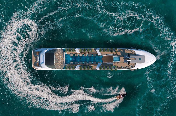 Dolphin Cruise – Experience Halong Bay in Timeless Luxury - The final hour is built for relaxation