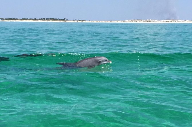 Dolphin Cruise in Destin FL - From HarborWalk Village to the Gulf of Mexico