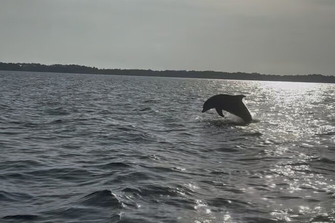 Dolphin cruise in Santa Rosa Beach - Dolphin watching with a marine biologist at the helm