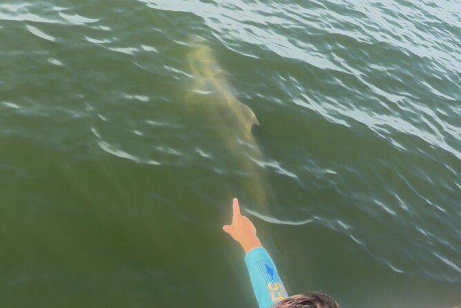 Dolphin cruise in Santa Rosa Beach - A family-friendly boat outing with useful comforts