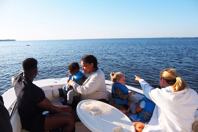 Dolphin cruise in Santa Rosa Beach - What the 2 to 4 hour trip feels like