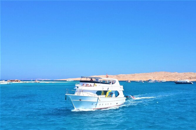 Dolphin Discovery Adventure in Hurghada - Key points to know before booking