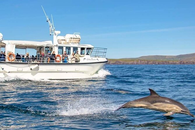 Dolphin Discovery Eco Tour - Following Dingle Bay’s old sandstone cliffs