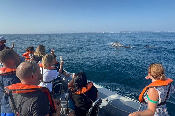 Dolphin Expedition Shared Speedboat tour with Biologist guide - Starting at the Arade River