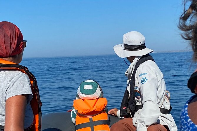 Dolphin Expedition Shared Speedboat tour with Biologist guide - Portimão Museum and São Francisco Monastery