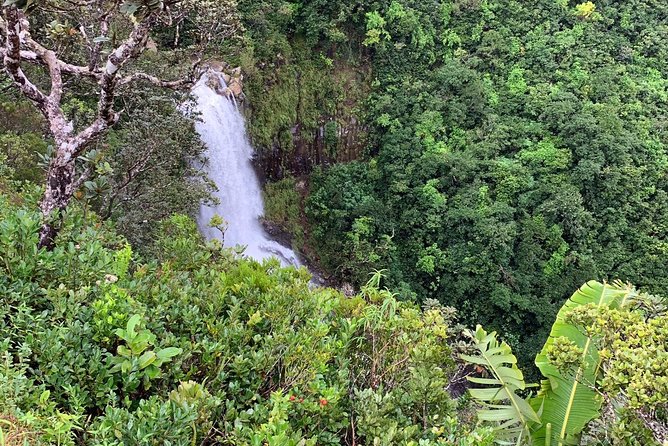 Dolphin Experience in Open Sea and South West Tour of Mauritius including Lunch - Chamarel’s Seven Colored Earth and waterfall