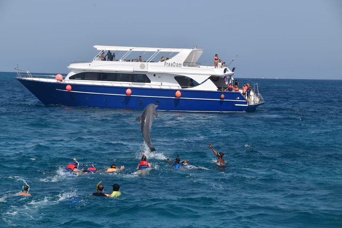 Dolphin House and Banana Boat Fun from Hurghada - Five things to know before you book