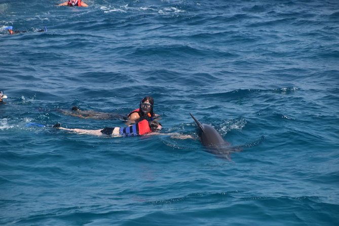 Dolphin House and Banana Boat Fun from Hurghada - Leaving Hurghada for Dolphin House