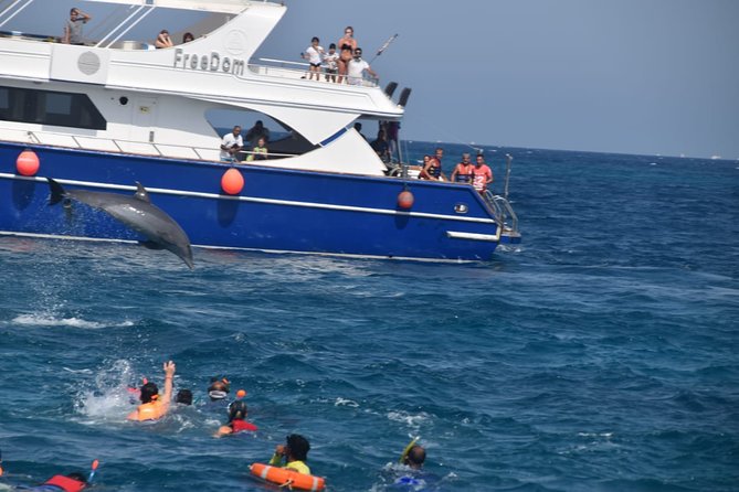 Dolphin House and Banana Boat Fun from Hurghada - Searching for wild dolphins at Dolphin House