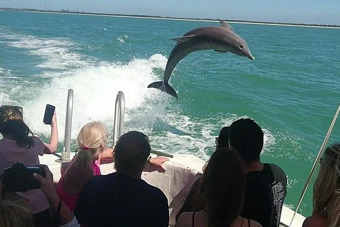 Dolphin House By Private Speed Boat & Drinks & Transfer-Hurghada - Why the Private Speedboat Matters at 8:00 am