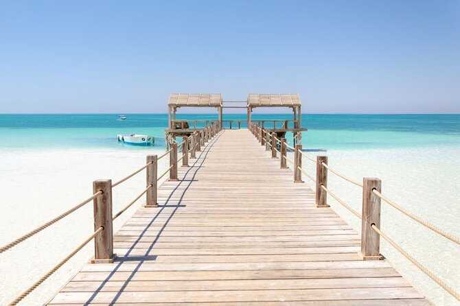 Dolphin House By Private Speedboat With Giftun Island _ Hurghada - Snorkeling in the Red Sea