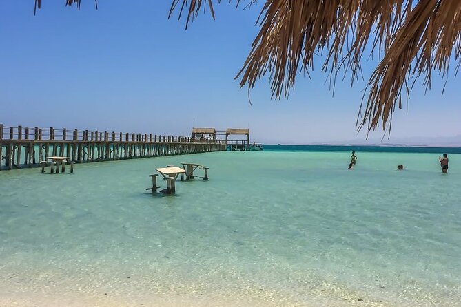 Dolphin House By Private Speedboat With Giftun Island _ Hurghada - Two hours on the island