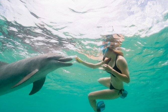 Dolphin House Cruise with water sports and Lunch in Hurghada - Key points before you book