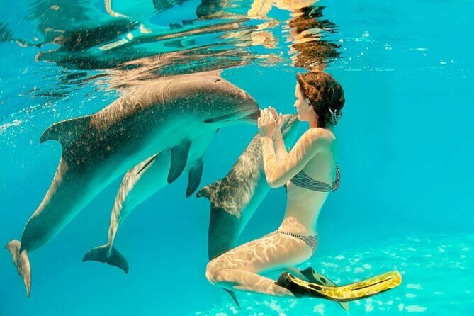 Dolphin House Cruise with water sports and Lunch in Hurghada - Heading toward the Dolphin House