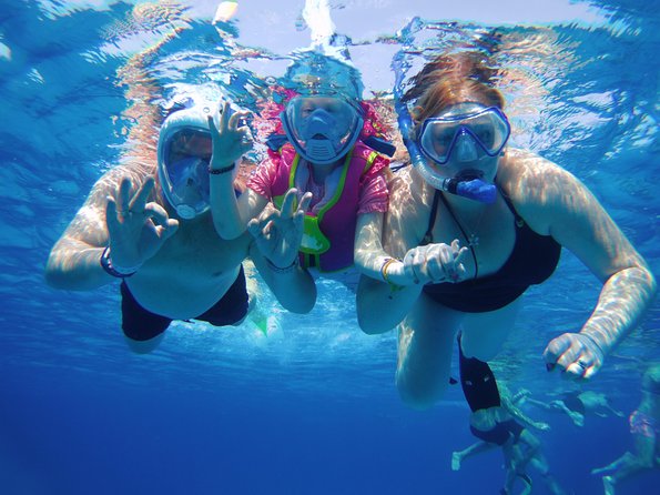 Dolphin House Reef Snorkeling Sea Trip With Transfer - Marsa Alam - Lunch Fresh From the Boat