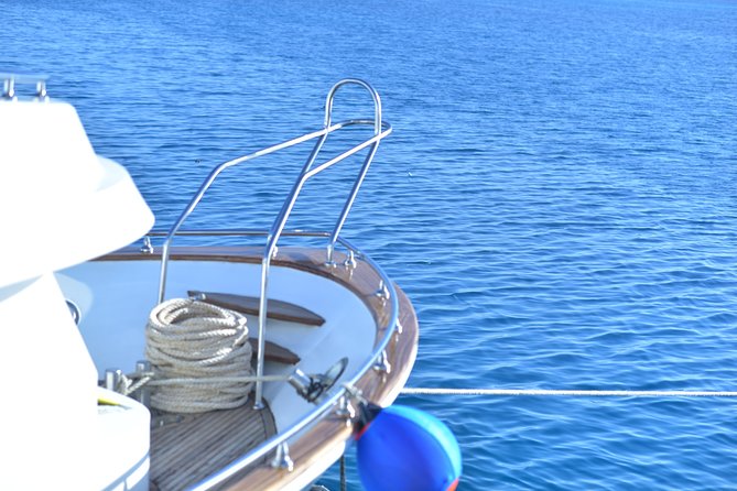 Dolphin House Reef Snorkeling Sea Trip With Transfer - Marsa Alam - Should You Book Dolphin House Reef?