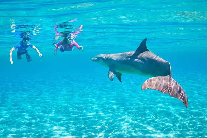 Dolphin House Royal Sea Trip Water Sports W/Transfer - HURGHADA - Banana rides, Quadra fun, and time between swims