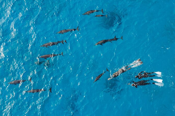 Dolphin House Samadai Reef Boat Snorkeling Trip from Marsa Alam - Crystal Temple Reef and the underwater scenery