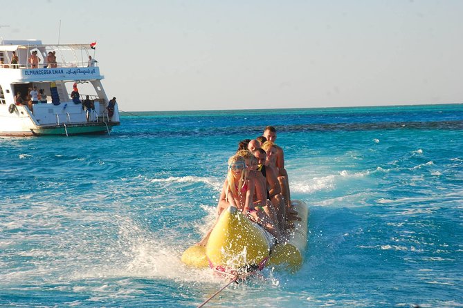 Dolphin House sea trip - What the Dolphin House trip is really about