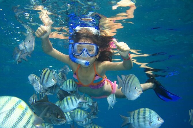 Dolphin House Sea Trip - HURGHADA VIP - Snorkeling above Red Sea coral reefs