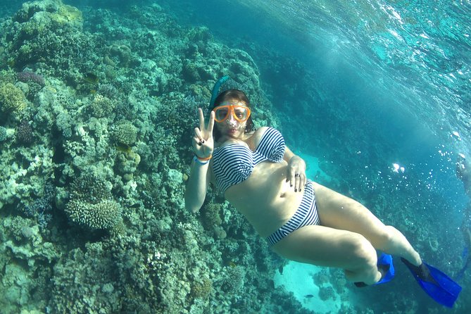Dolphin House Sea Trip with Snorkeling Adventure - Marsa Alam - Lunch and a slower hour on deck