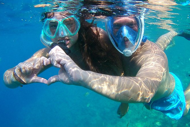 Dolphin House Sea Trip with Snorkeling Adventure - Marsa Alam - What the $5 price really means