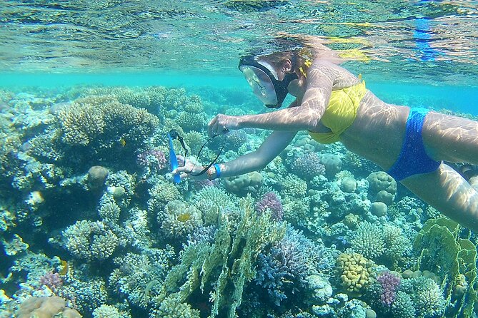 Dolphin House Sea Trip with Water Sport and Lunch - Key Things to Know Before You Go