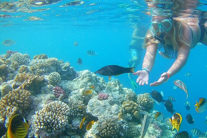 Dolphin House Sea Trip with Water Sport and Lunch - Lunch, Fruit, and Drinks Between Stops