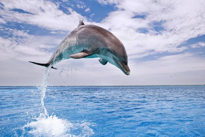 Dolphin House Snorkel & Water Fun Activity with Lunch - Hurghada - Lunch, Soft Drinks, and a Full Day Afloat