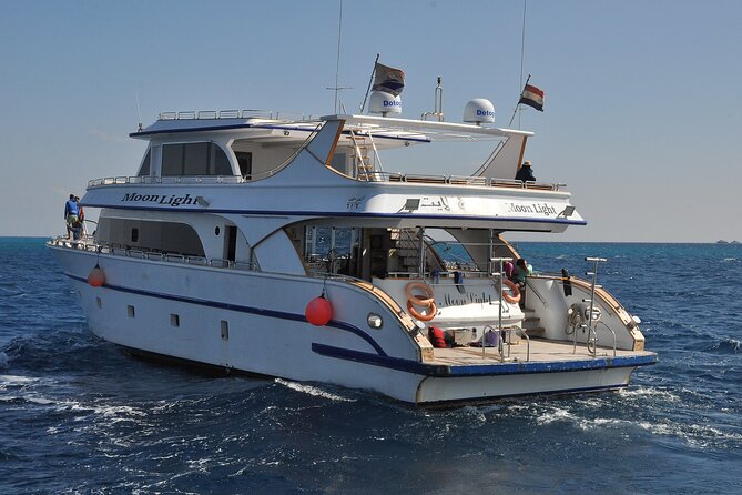 Dolphin House Snorkel & Water Fun Activity with Lunch - Hurghada - Who Should Book This Hurghada Excursion?