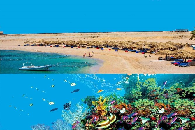 Dolphin House Snorkeling Day Cruise with Lunch from Hurghada - Key points to know before you book