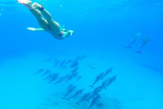 Dolphin House Snorkeling Sea Trip, Water Sport , Lunch - Hurghada - Banana boat, sofa ride, and a break from the reef