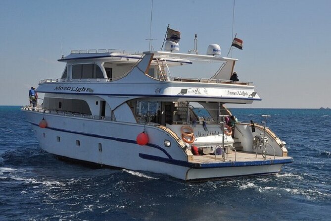 Dolphin House Snorkeling Sea Trip, Water Sport , Lunch - Hurghada - Finding dolphins at Dolphin House