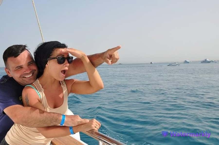 Dolphin house snorkeling trip - Key points at a glance