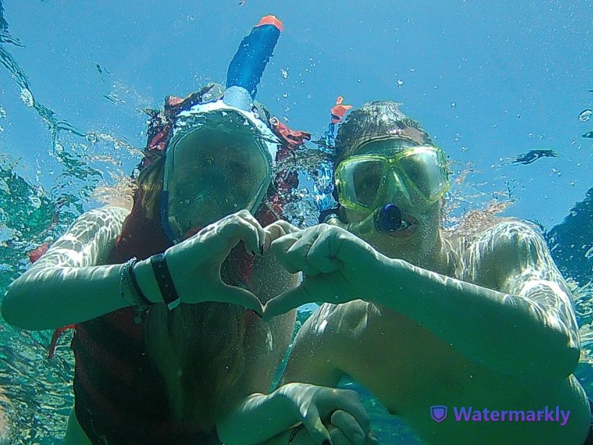 Dolphin house snorkeling trip - Is $53 a fair price?