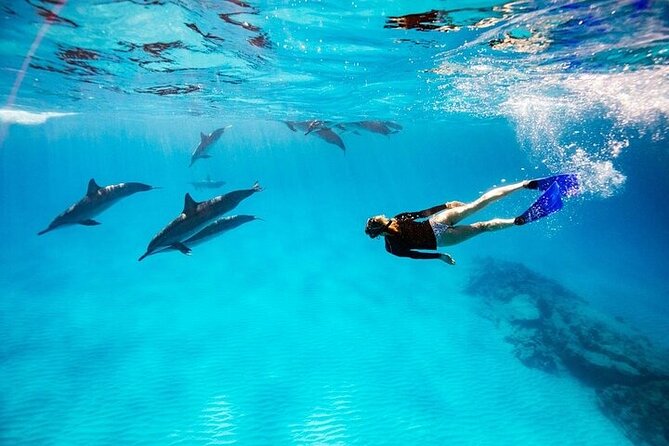 Dolphin House Snorkeling Trip & Water Sport With Lunch - Hurghada - Leaving Hurghada at 8:00 a.m.