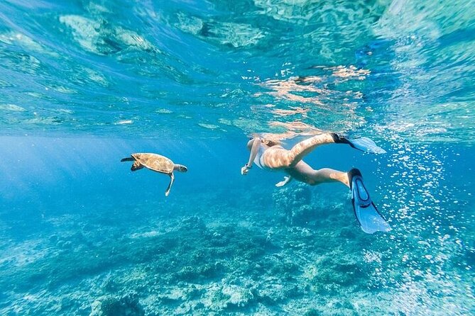 Dolphin House Snorkeling Trip & Water Sport With Lunch - Hurghada - Coral Reefs, Fish, and the Second Water Stop